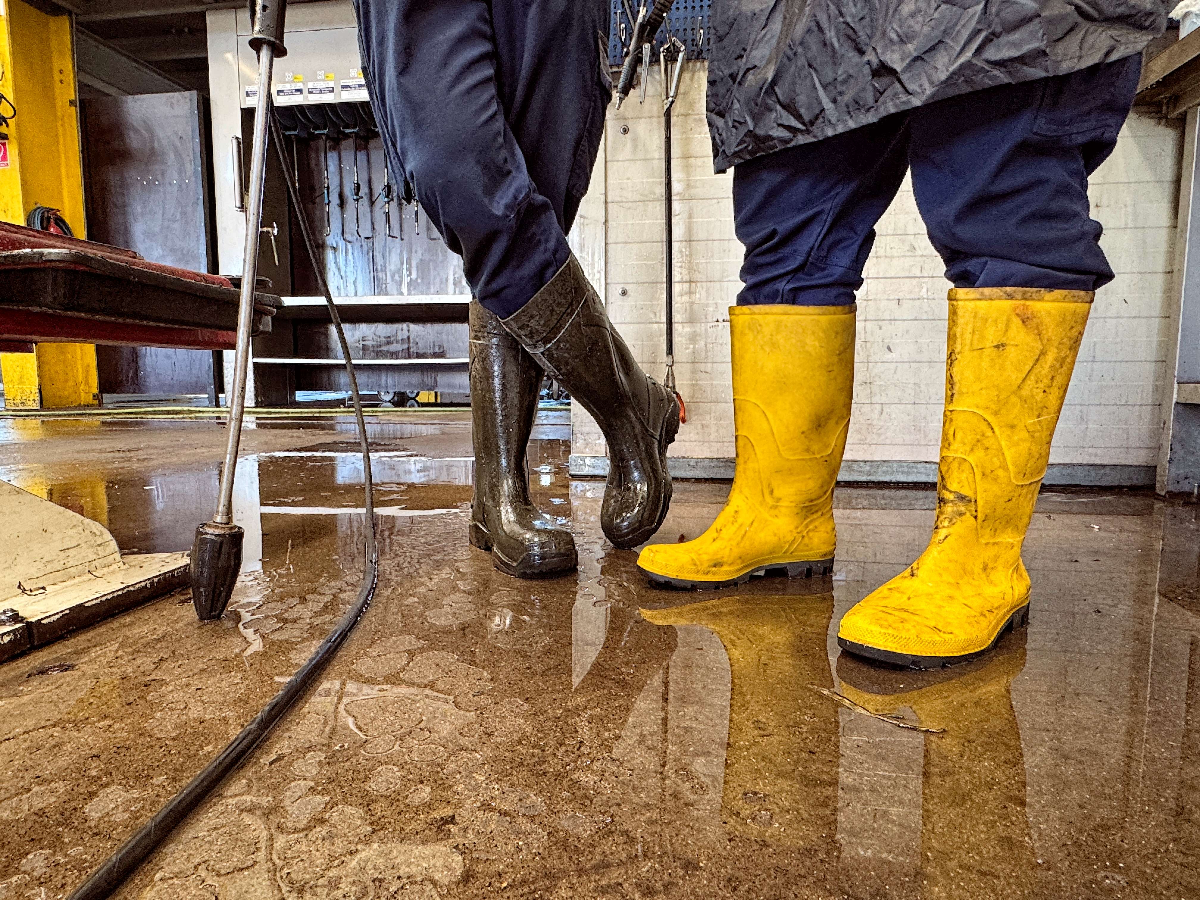 News Artikel Bild - 7129